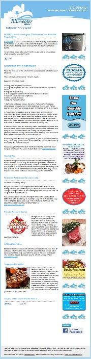 e-newsletter sample