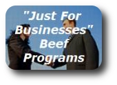 our business programs
